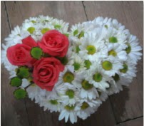 3 adet kırmızı gül mika kalptte papatyalar  kavaklıdere çiçekçilik internetten çiçek satışı balgat