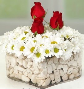 Mika kalpte papatyalar ve 3 gül  Ankara çiçek çiçekçi telefonları 