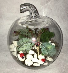 K���k terrarium elma 3 kakt�s  Ankara g�lba�� �i�ek�ilik �i�ek ma�azas� , �i�ek�i adresleri incek 