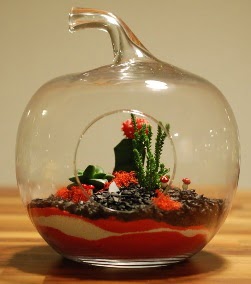 Elma Terrarium 3 kakt�s orta boy  Ankara ma�aza �i�ek�ilik 14 �ubat sevgililer g�n� �i�ek ke�i�ren 