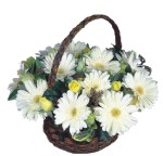  Ankara oran �i�ek�ilik �i�ek sipari�i sitesi ucuz �i�ekleri  Sepet i�inde  gerbera aranjmani 