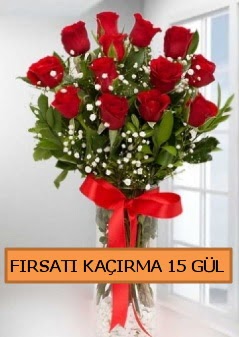  15 İthal kırmızı gül büyük başlı orjinal  Ankara oran çiçekçilik çiçek siparişi sitesi ucuz çiçekleri 