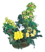  Ankara yenimahalle �i�ek�ilik �i�ek sipari�i vermek k�z�lay  Dal orkide, sari g�l ve gerberalar