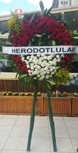 Cenaze elengi cenazeye iek modeli  Ankara iekilik iek sat 