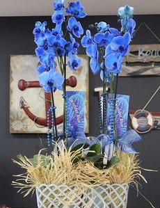 4 dallı özel mavi orkide  Ankara yenimahalle çiçekçilik çiçek siparişi vermek kızılay 