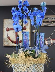 4 dall� �zel mavi orkide  Ankara yenimahalle �i�ek�ilik �i�ek sipari�i vermek k�z�lay 