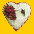  Ankara pursaklar �i�ek�ilik �i�ek yolla , �i�ek g�nder , �i�ek�i ostim   1.20m x 1.20m  Gerbera G�ller