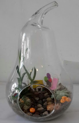 Orta boy cam armut terrarium  Ankara çiçekçilik çiçek satışı 