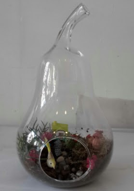 Armut orta boy cam terrarium tanzim  Ankara çiçek çiçekçi telefonları 