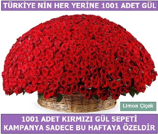 1001 Adet kırmızı gül Bu haftaya özel  Ankara çiçekçilik İnternetten çiçek siparişi  