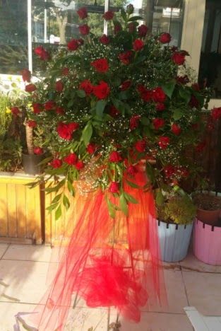 71 adet k�rm�z� g�lden ferf�rje �i�e�i  Ankara �i�ek�ilik �i�ek sat��� 
