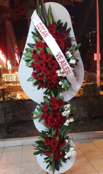 D���n �i�e�i A��l�� �i�e�i  Ankara balgat �i�ek�ilik �i�ek , �i�ek�i , �i�ek�ilik 