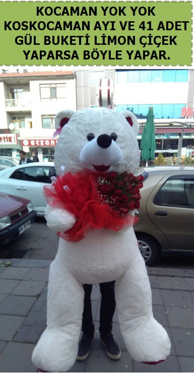 Koskocaman beyaz ayı ve 25 adet gül  Ankara oran çiçekçilik çiçek siparişi sitesi ucuz çiçekleri 