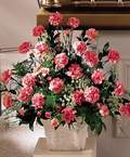  hediye �i�ek�ilik cicek , cicekci bat�kent Minyat�r ve pembe karanfiller