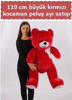 110 cm b�y�k k�rm�z� kocaman pelu� ay�  Ankara anatolia �i�ek �i�ek g�nderme 