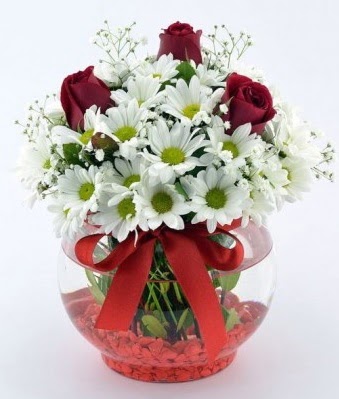 Fanusta 3 Gül ve Papatya  kavaklıdere çiçekçilik internetten çiçek satışı balgat 