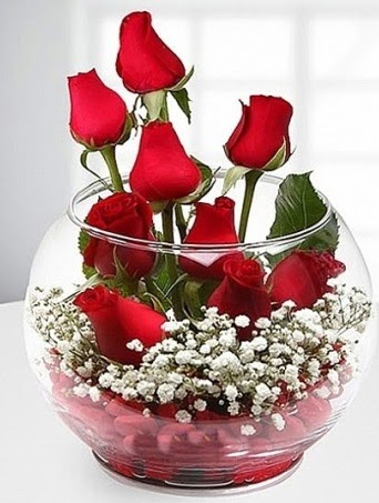 Kırmızı Mutluluk fanusta 9 kırmızı gül  Ankara oran çiçekçilik çiçek siparişi sitesi ucuz çiçekleri 