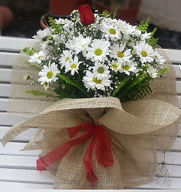 Papatya 1 adet kırmızı gül buketi  Ankara çiçekçilik çiçekçiler çankaya 