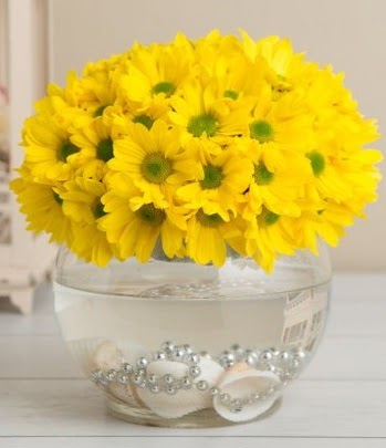 Fanusta Sarı Papatya  Ankara oran çiçekçilik çiçek siparişi sitesi ucuz çiçekleri 
