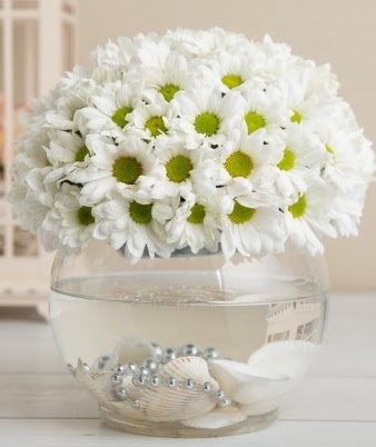 Fanusta beyaz Papatya  Ankara çiçekçilik çiçek satışı  