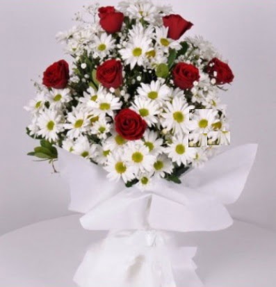 7 adet kırmızı gül ve papatyalar krizantem  kavaklıdere çiçekçilik internetten çiçek satışı balgat