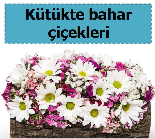 K�t�k i�erisinde k�r �i�ekleri  Ankara balgat �i�ek�ilik �i�ek , �i�ek�i , �i�ek�ilik 