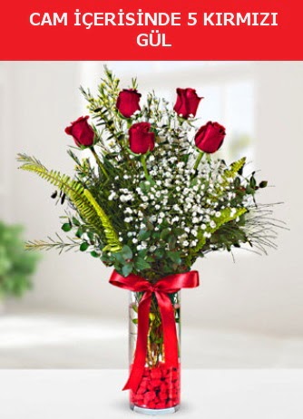 Cam içerisinde 5 adet kırmızı gül  Ankara oran çiçekçilik çiçek siparişi sitesi ucuz çiçekleri 