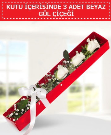 Kutu i�erisinde 3 adet beyaz g�l �i�e�i  hediye �i�ek�ilik cicek , cicekci bat�kent