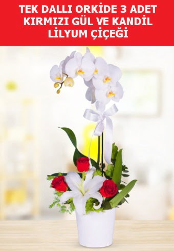 Tek dallı orkide 3 gül ve kandil lilyum  Ankara anatolia çiçekçi çiçek yolla  