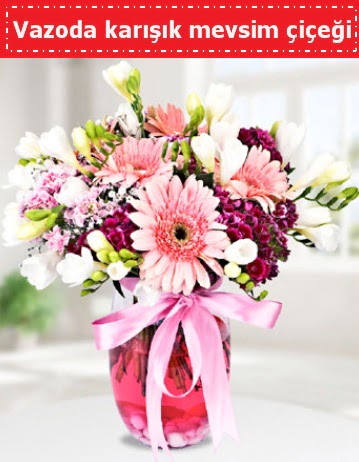 Vazoda kar���k mevsim �i�e�i  Ankara balgat �i�ek�ilik �i�ek , �i�ek�i , �i�ek�ilik 