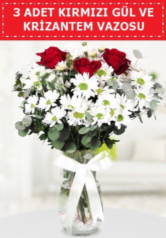 3 kırmızı gül ve camda krizantem çiçekleri  Ankara anatolia çiçek çiçek gönderme 
