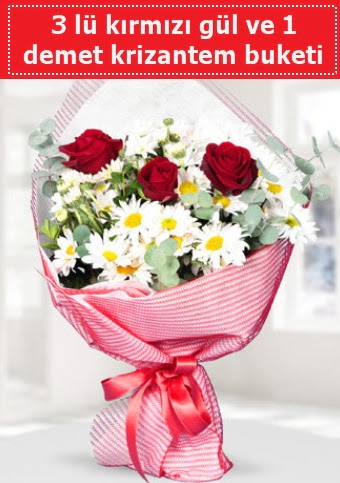 3 adet kırmızı gül ve krizantem buketi  Ankara anatolia çiçekçilik çiçek gönderme sitemiz güvenlidir 