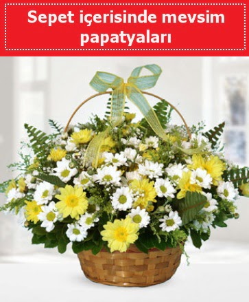 Sepet i�erisinde mevsim papatyalar�  �i�ek�ilik ucuz �i�ek g�nder 