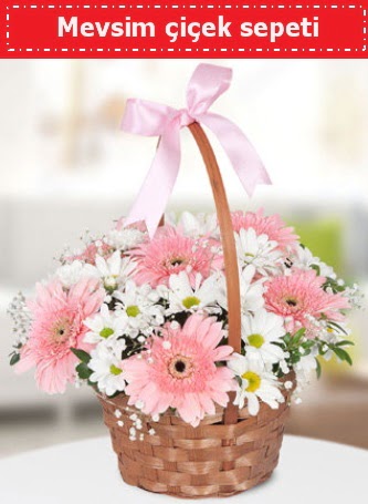 Mevsim k�r �i�ek sepeti  Ankara balgat �i�ek�ilik �i�ek , �i�ek�i , �i�ek�ilik 