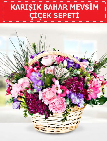 Kar���k mevsim bahar �i�ekleri  �i�ek�ilik ucuz �i�ek g�nder 