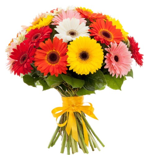 Gerbera demeti buketi  Ankara �i�ek�ilik �i�ek sat��� 