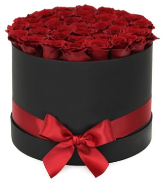 Siyah Kutuda 25 adet kırmızı gül  Ankara anatolia çiçekçilik çiçek gönderme sitemiz güvenlidir 