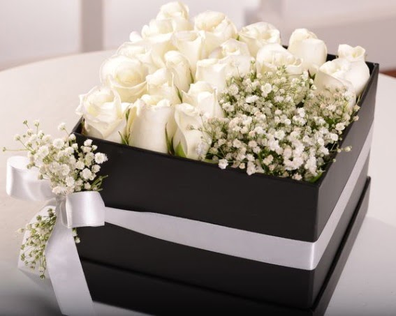 Kutu içerisinde 19 beyaz gül ve cipsofilya  Ankara balgat çiçekçilik çiçek , çiçekçi , çiçekçilik 