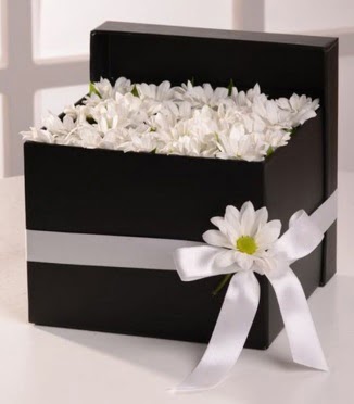Kutuda beyaz krizantem papatya çiçekleri  Ankara oran çiçekçilik çiçek siparişi sitesi ucuz çiçekleri  