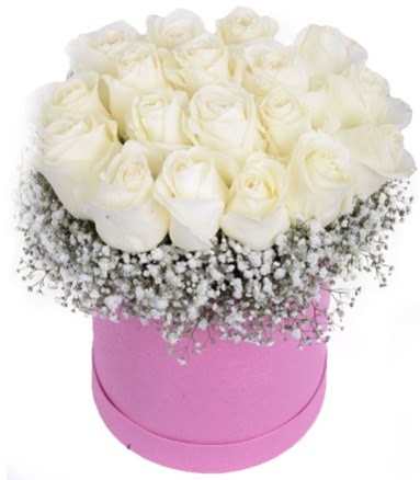 Renkli kutuda 19 adet beyaz gül  kavaklıdere çiçekçilik internetten çiçek satışı balgat