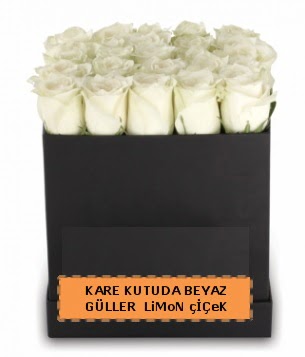 Kare kutuda 17 adet beyaz gül tanzimi  Ankara oran çiçekçilik çiçek siparişi sitesi ucuz çiçekleri 