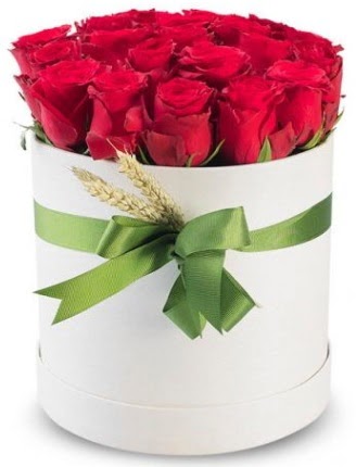 Özel kutuda 25 adet kırmızı gül çiçeği  Ankara çiçekçilik çiçek satışı 