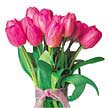  Ankara anatolia �i�ek �i�ek g�nderme  10 adet kalite pembe LaLe