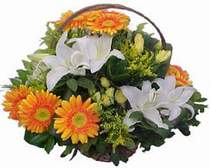  online �i�ek�i , �i�ek sipari�i yenimahalle  sepet modeli Gerbera kazablanka sepet