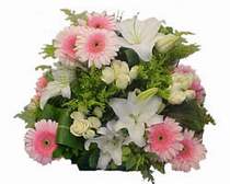  Ankara etlik �i�ek�ilik kaliteli taze ve ucuz �i�ekler kavakl�dere  G�l kazablanka gerbera sepet �i�ek modeli